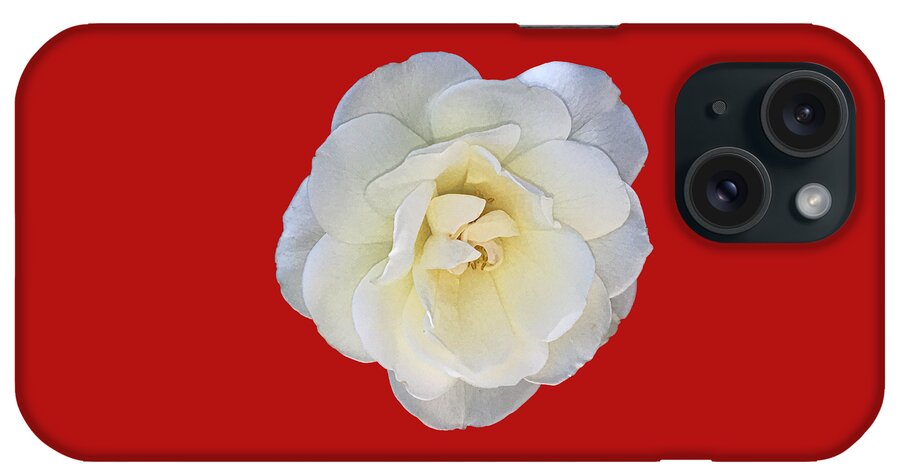  iPhone Case featuring the photograph Royal White Rose by Daniel Hebard