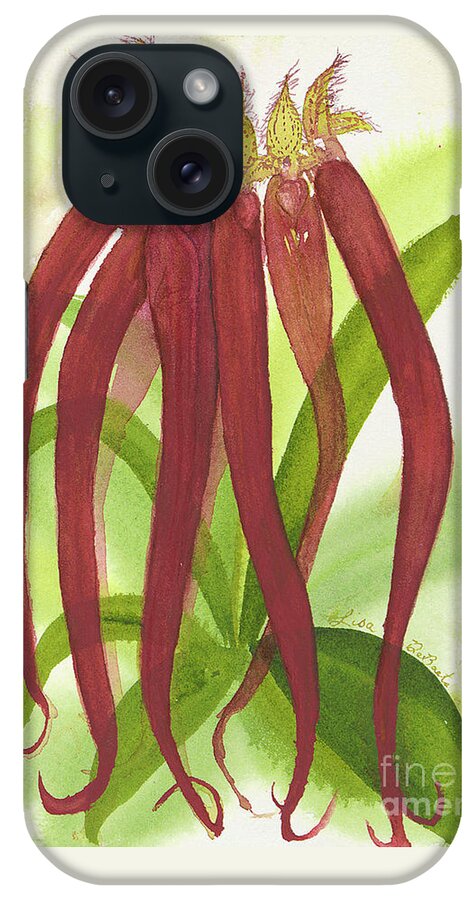 Bulbophylum iPhone Case featuring the painting Roys Coolest Bulbophylum Orchid Ever by Lisa Debaets