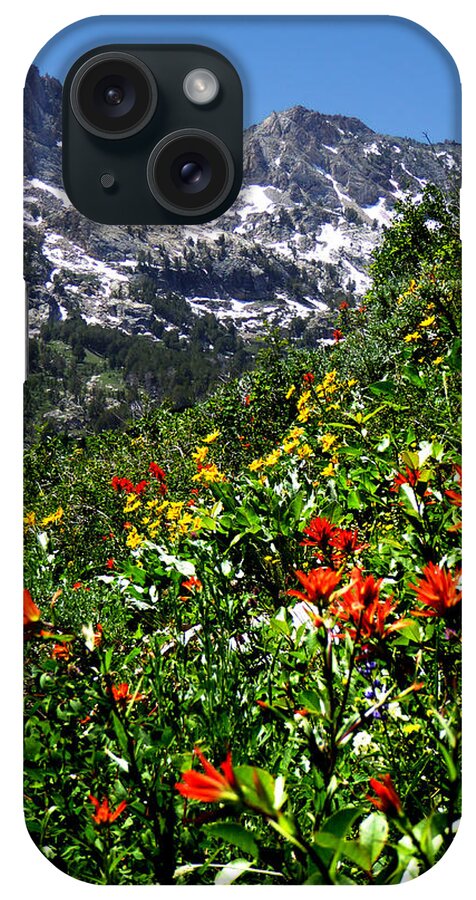 Island Lake iPhone Case featuring the photograph Ruby Mountain Wildflowers - Vertical by Alan Socolik