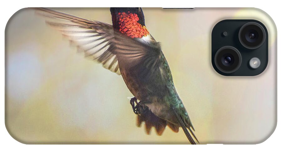  Ruby Red Throat Hummingbird iPhone Case featuring the photograph Ruby Red Hummingbird Soaring by Peggy Franz