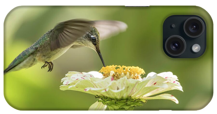 Ruby Throated Hummingbird iPhone Case featuring the photograph Ruby Throated Hummingbird 2016-8 by Thomas Young