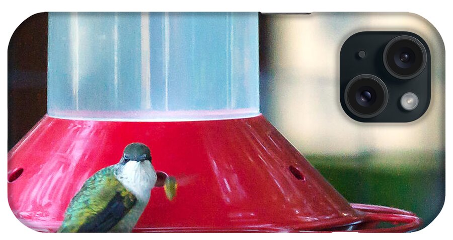 Heron Heaven iPhone Case featuring the photograph Ruby-throated Hummingbird At Feeder by Ed Peterson