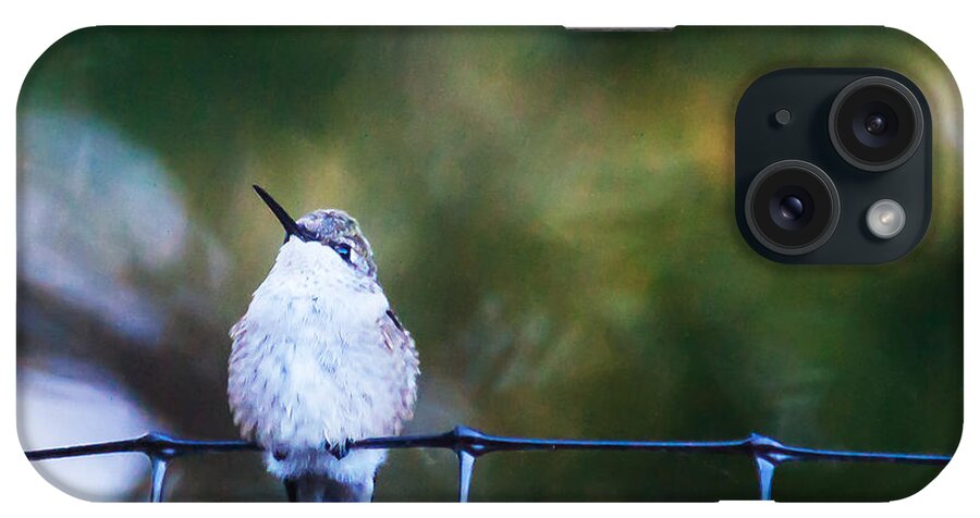 Heron Heaven iPhone Case featuring the photograph Ruby-throated Hummingbird Staying Warm by Ed Peterson