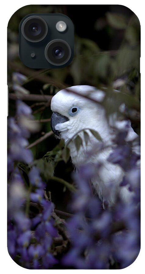 Rudy iPhone Case featuring the photograph Rudy The Umbrella Cockatoo by Jeanette C Landstrom