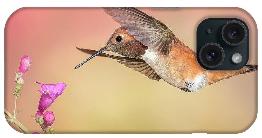 American Southwest iPhone Case featuring the photograph Rufous Hummingbird with Penstemon by James Capo