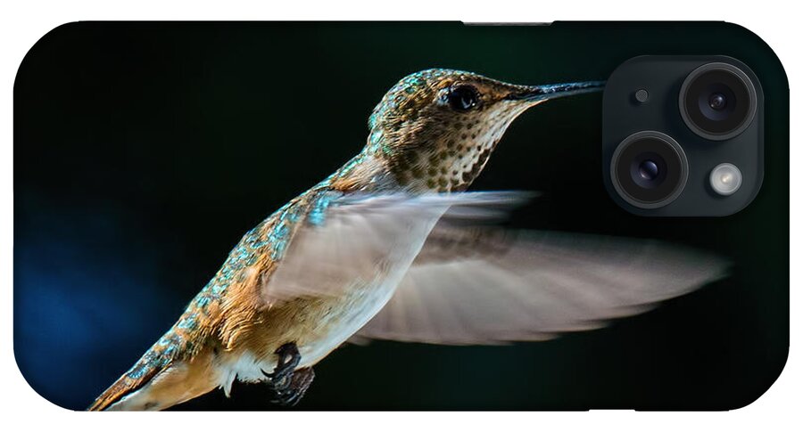 Rufous Hummingbird iPhone Case featuring the photograph Rufous by Randy Hall