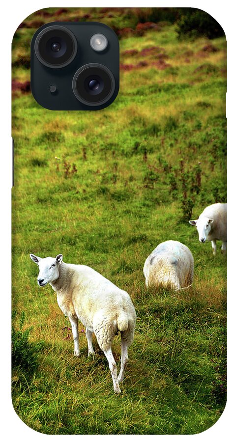 Jenny Rainbow Fine Art Photography iPhone Case featuring the photograph Rural Idyll. Wicklow. Ireland by Jenny Rainbow