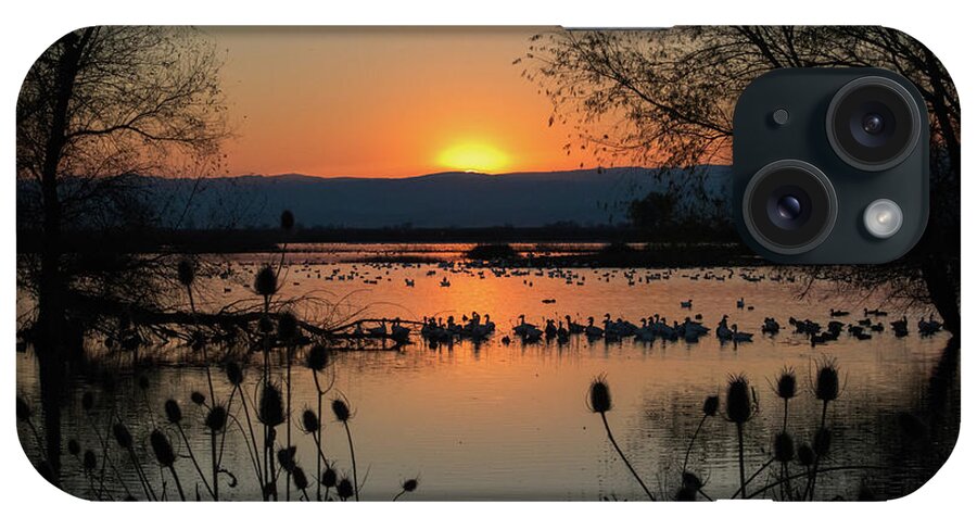 Duck iPhone Case featuring the photograph Sacramento National Wildlife Refuge - 1 by Alan C Wade
