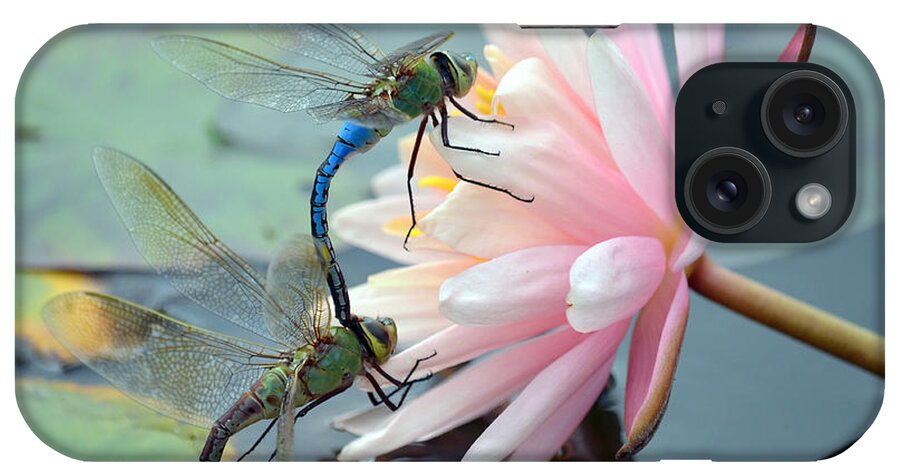 Green Darner Dragonflies iPhone Case featuring the photograph Safe Place To Land by Fraida Gutovich