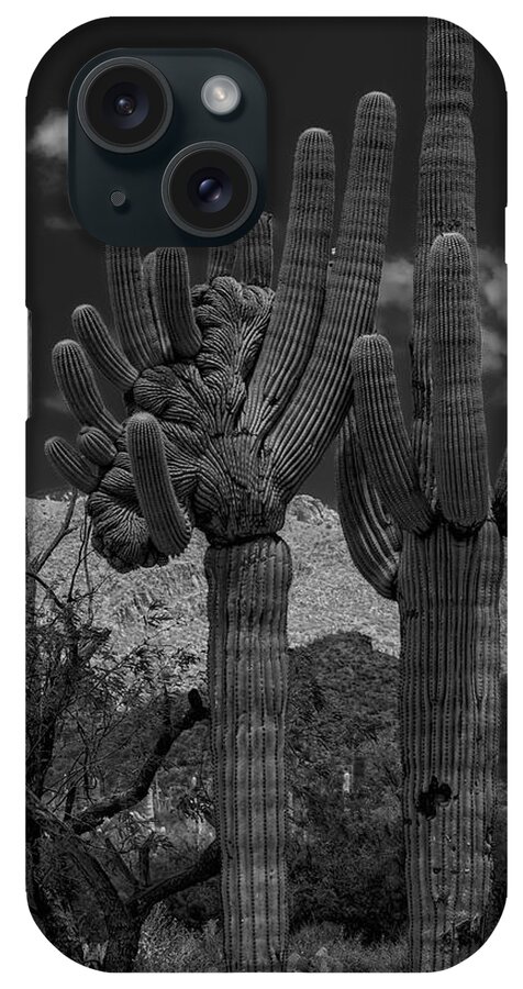 Sabino Canyon iPhone Case featuring the photograph Saguaro Duo BW by Mark Myhaver