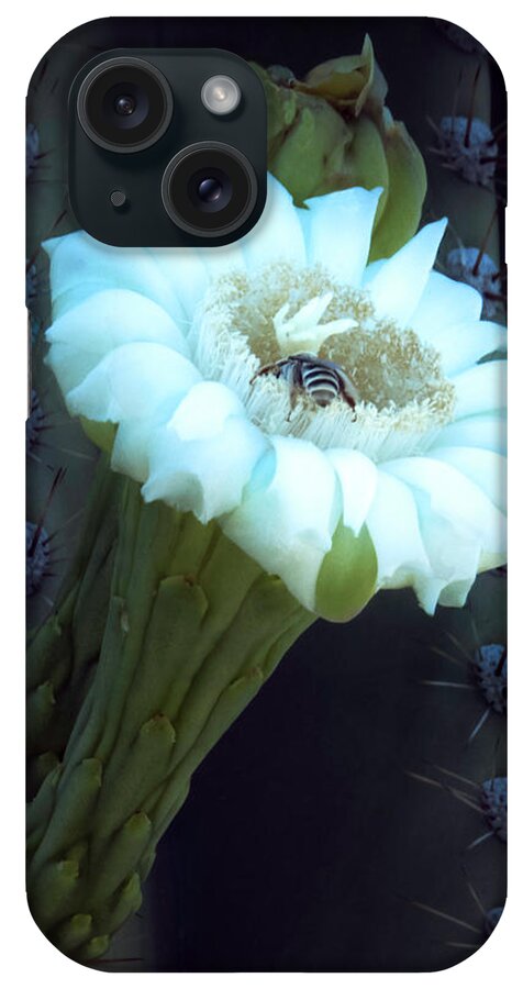 Saguaro iPhone 15 Case featuring the photograph Saguaro Flower by Mike Stephens