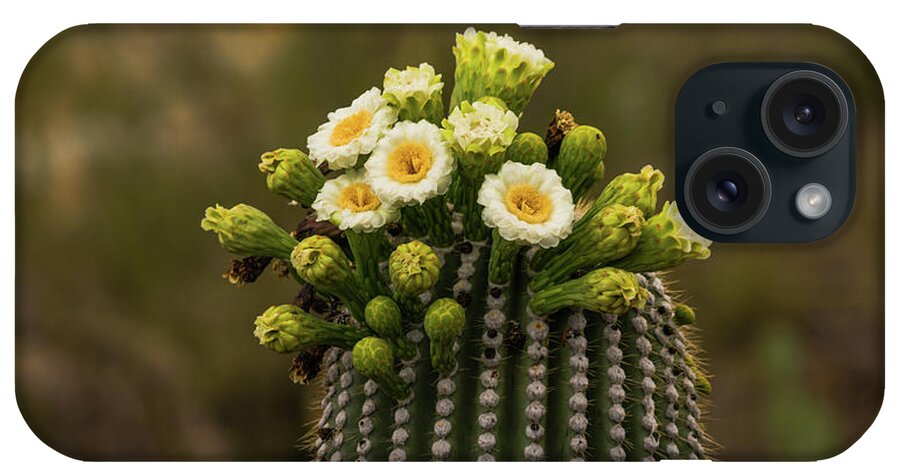 Arizona iPhone Case featuring the photograph Saguaro National Park Cactus Blooms by Lawrence S Richardson Jr