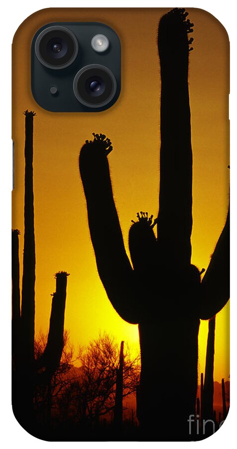Southwest iPhone Case featuring the photograph Saguaro Sunset by Sandra Bronstein