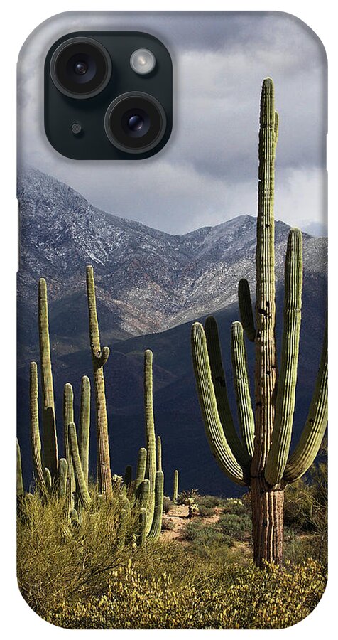 Saguaros And Four Peaks iPhone Case featuring the digital art Saguaros And Four Peaks by Tom Janca