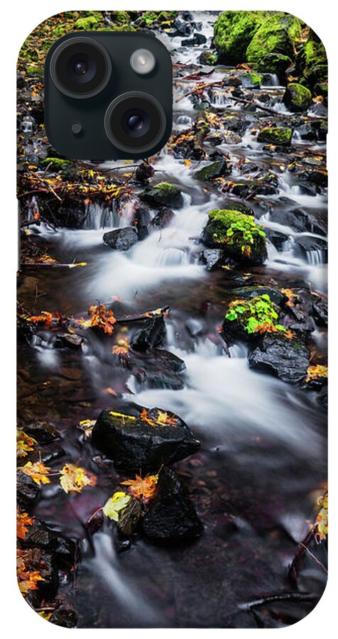 Salvation Creek iPhone Case featuring the photograph Salvation Creek in Columbia River Gorge by Vishwanath Bhat