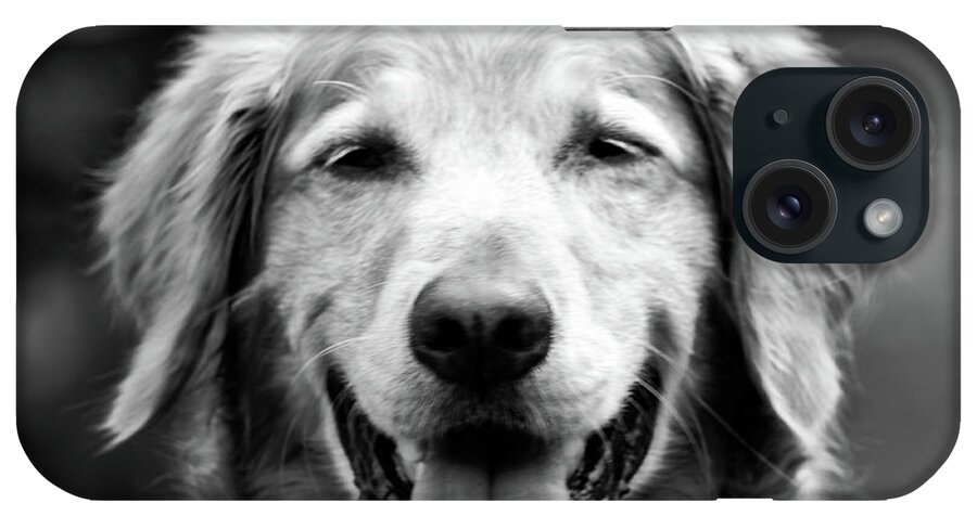 Dog iPhone Case featuring the photograph Sam Smiling by Julie Niemela