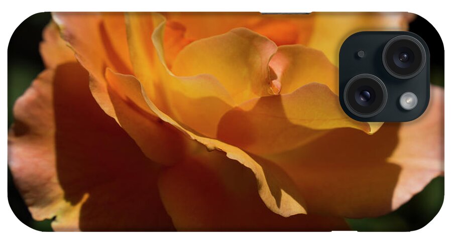 Rose iPhone Case featuring the photograph San Diego Rose by Steve Gravano