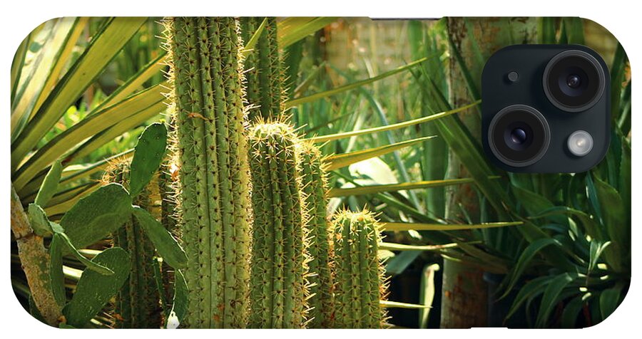 San Pedro Cactus iPhone Case featuring the photograph San Pedro Cactus by Colleen Cornelius