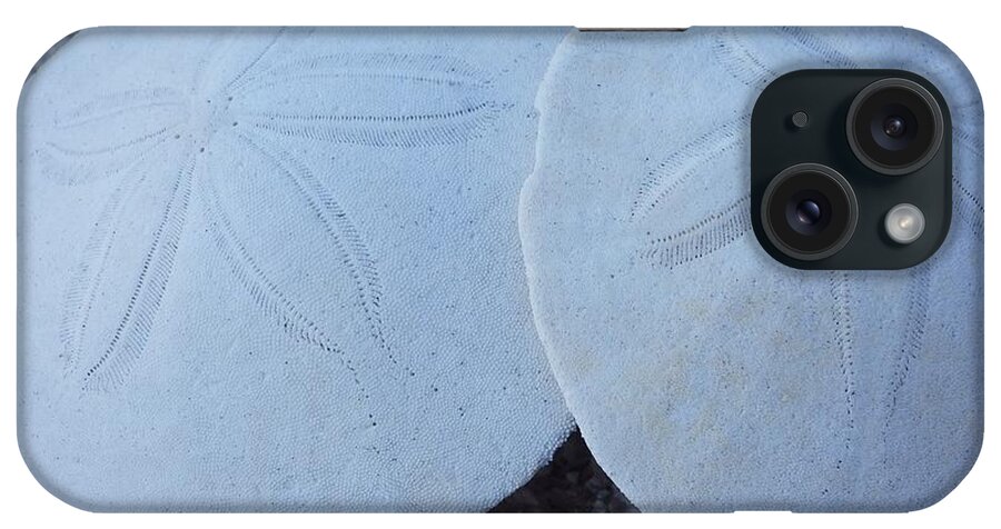 Sand Dollars iPhone Case featuring the photograph Sand Dollars and the Story Within by Jan Moore