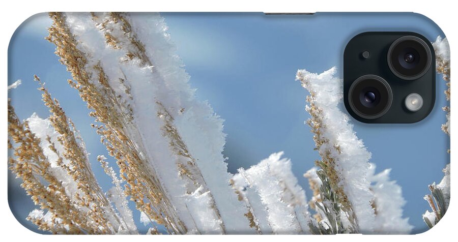 Frost iPhone Case featuring the photograph Sand Wash Basin Awakens to a Frosty Morning by WildHerdz