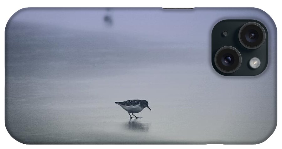 Bird iPhone Case featuring the photograph Sanderling by Sheila Ping