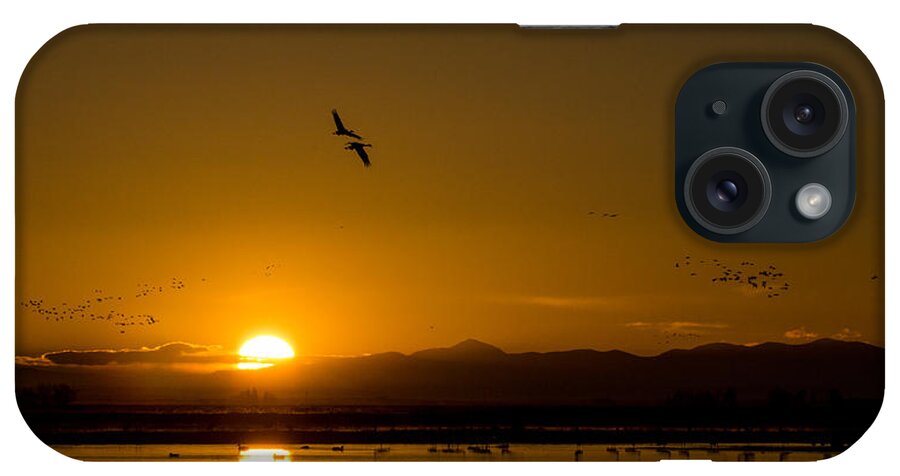 Sandhill Crane iPhone Case featuring the photograph Sandhill Crane sunrise by Stephen Holst