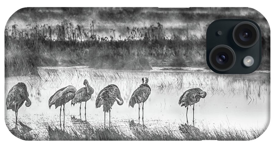 Crex Meadows iPhone Case featuring the photograph Sandhills in the Mist by Kristine Hinrichs