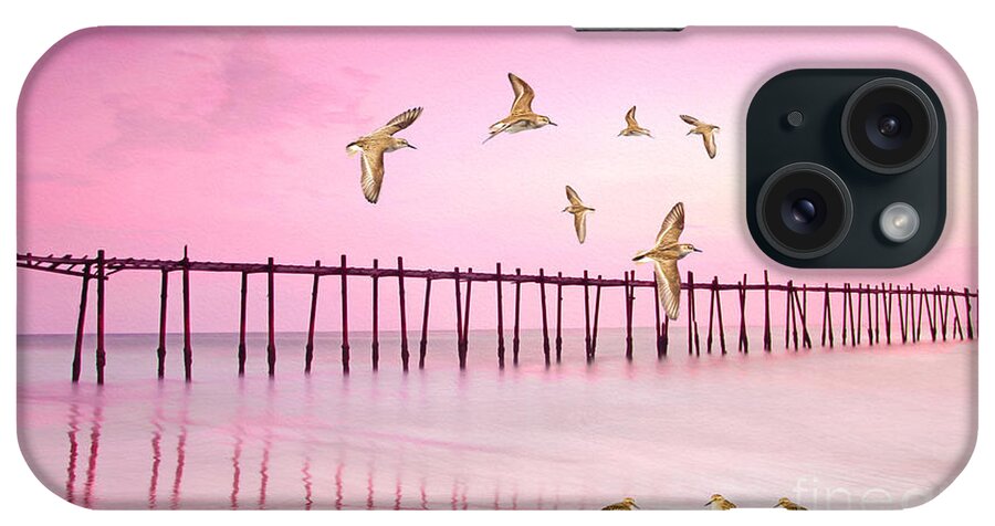 Sandpipers iPhone Case featuring the photograph Sandpiper Sunset by Laura D Young