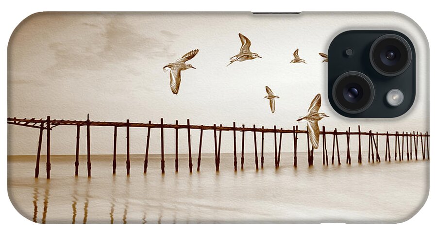 Sandpipers iPhone Case featuring the photograph Sandpipers in Sepia by Laura D Young