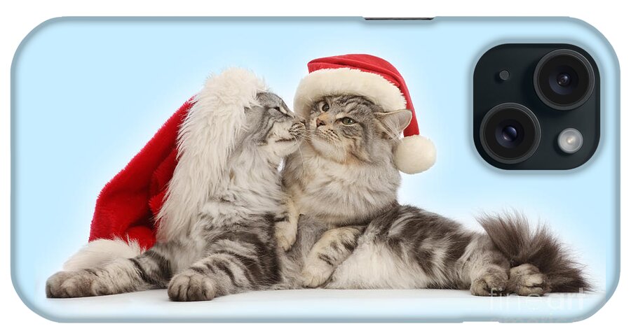 Father Christmas iPhone Case featuring the photograph Santas kissing Cats by Warren Photographic