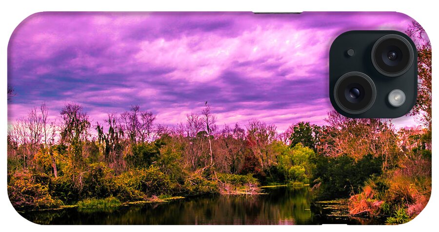Land iPhone Case featuring the photograph Sarasota Symphony 2 by Madeline Ellis
