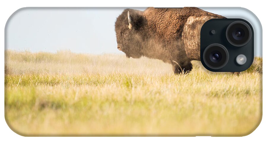 Grasslands National Park iPhone Case featuring the photograph Saskatchewan Bison by Matt Hammerstein
