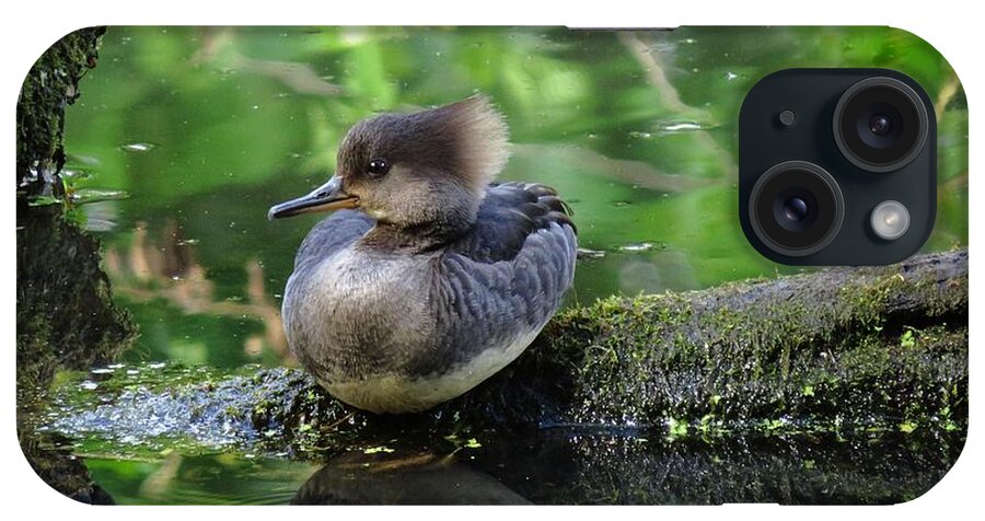 Hooded Merganser iPhone Case featuring the photograph Sassy Girl by I'ina Van Lawick
