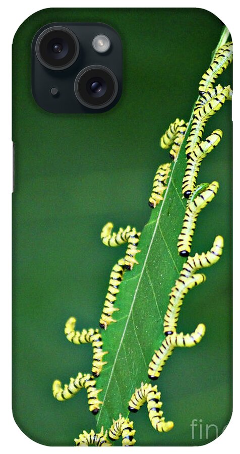 Sawflies iPhone Case featuring the photograph Sawflies by Randy Bodkins