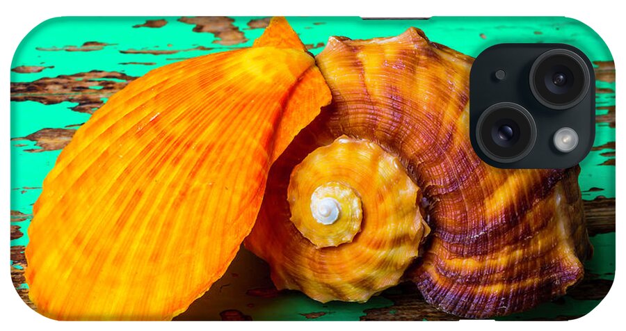 Sea Shell iPhone Case featuring the photograph Schallop Seashell And Snail Shell by Garry Gay