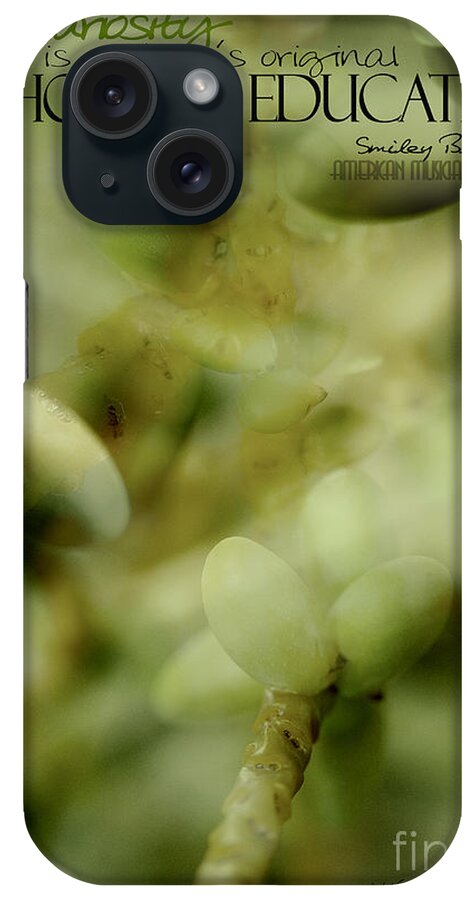 Palm Pods iPhone Case featuring the photograph School of Curiosity 05 by Vicki Ferrari