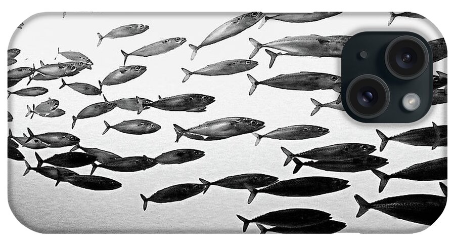 Fish iPhone Case featuring the photograph School's Out by Tom Griffithe