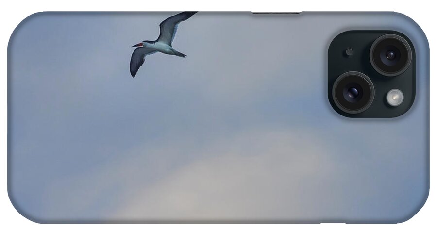 Animal iPhone Case featuring the photograph Sea Bird in Flight by Tom Brickhouse