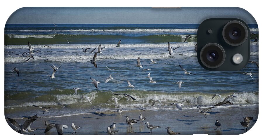 Sea Bird iPhone Case featuring the photograph Sea Birds Feeding on Florida Coast DSC00473_16 by Greg Kluempers
