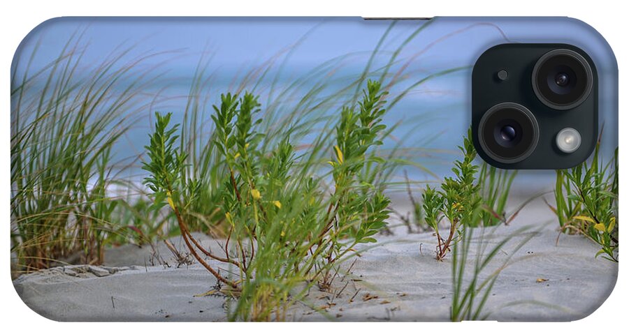 Beach iPhone Case featuring the photograph Sea Grass Blowing in the Wind by Dale Powell
