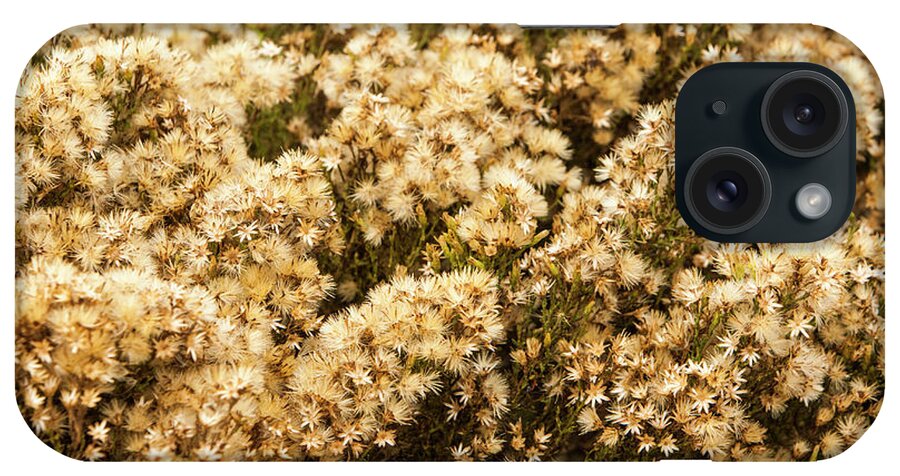 Foliage iPhone Case featuring the photograph Sea of flowers by Jason Hughes