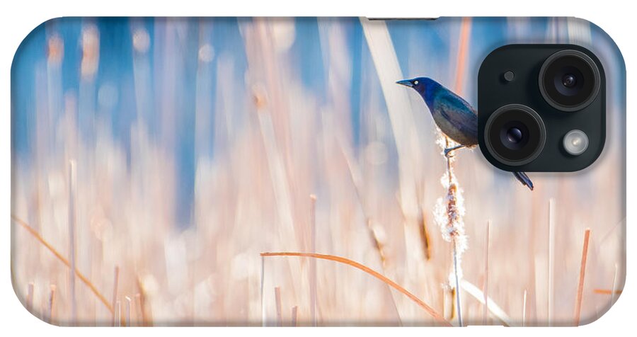 Birds iPhone Case featuring the photograph Sea of gold by Ian Sempowski