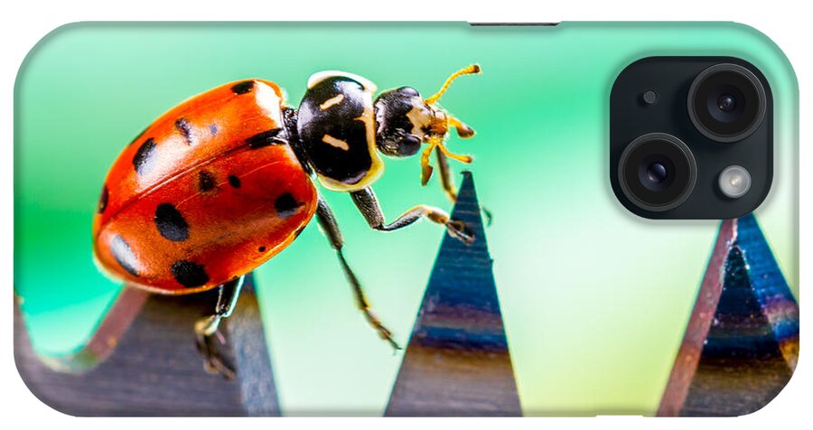 Ladybugs iPhone Case featuring the photograph Sea of Pain by TC Morgan