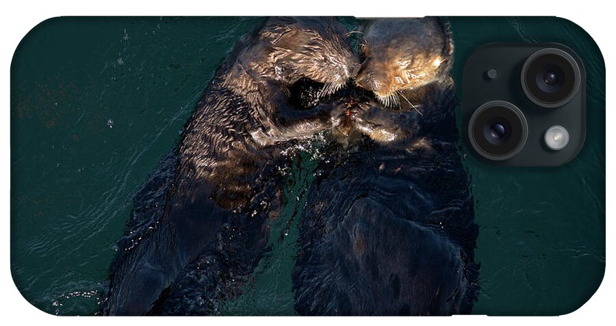 Sea Otter iPhone Case featuring the photograph Sea Otters II Color by David Gordon