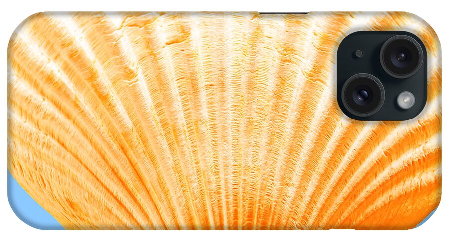Sea iPhone Case featuring the photograph Sea Shell-Orange-blue by WAZgriffin Digital