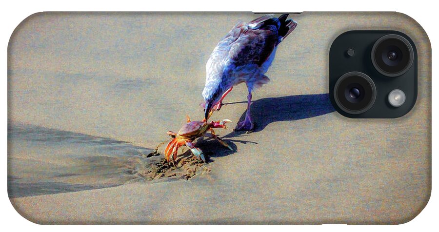 Bonnie Follett iPhone Case featuring the photograph Seagull Lunch by Bonnie Follett
