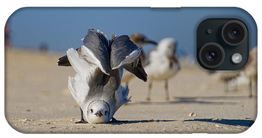 Seagull iPhone Case featuring the photograph Seagull Yoga by Beth Venner