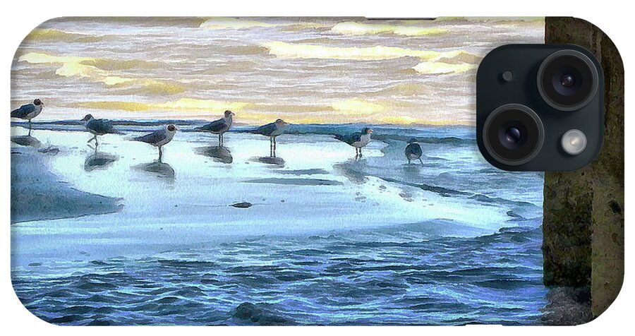 Cedric Hampton iPhone Case featuring the photograph Seagulls At Waters Edge by Cedric Hampton