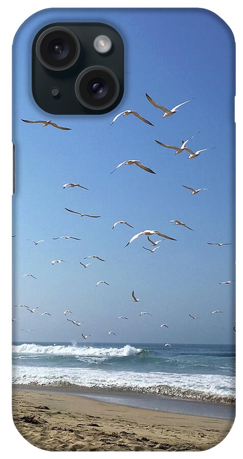 Seagulls iPhone Case featuring the photograph Seagulls in the Morning by Cheryl Del Toro