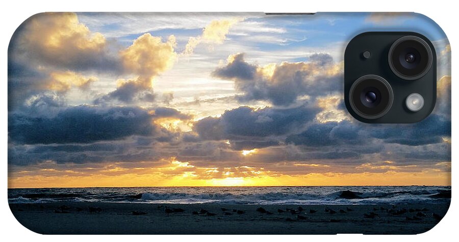 Animals iPhone Case featuring the photograph Seagulls on the Beach at Sunrise by Robert Banach